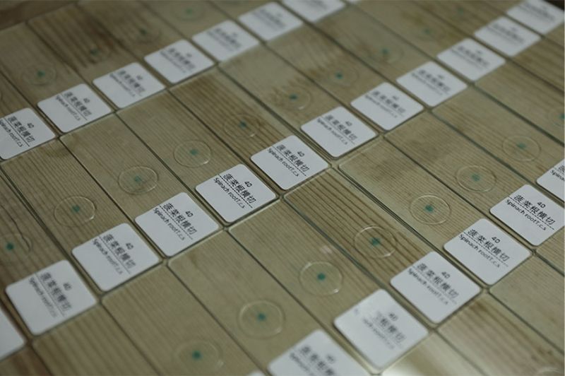 新鄉市求精教學儀器有限公司